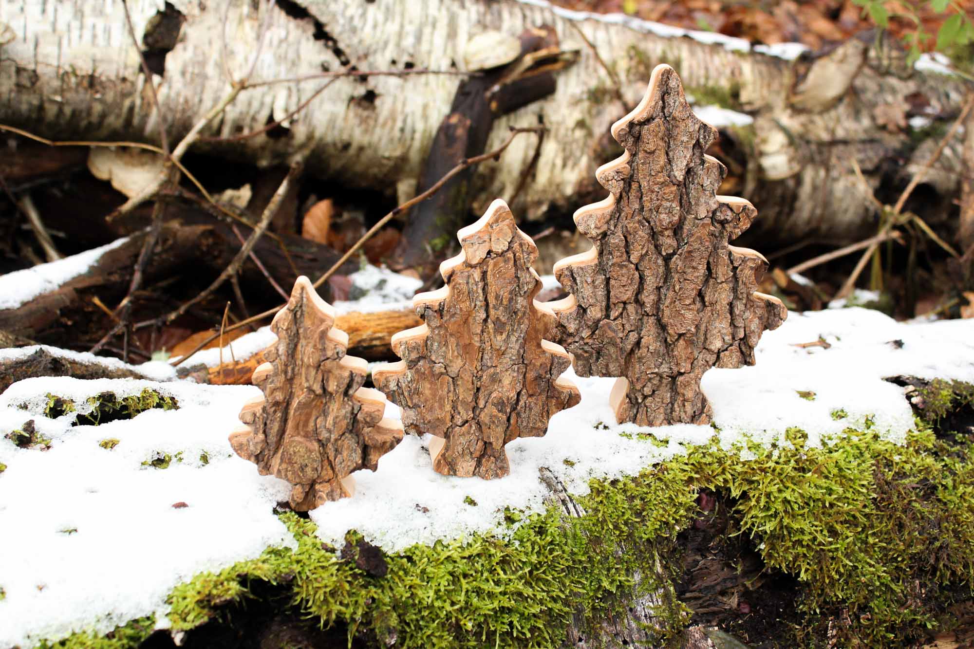 choinki z naturalną korą